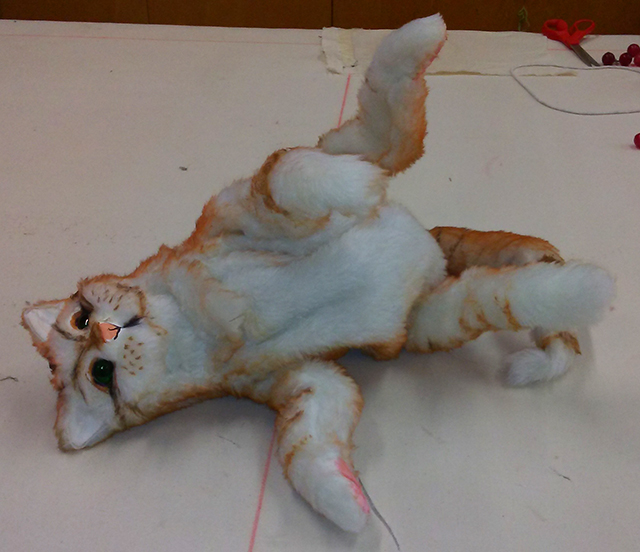 playful puppet cat rolling on it's back