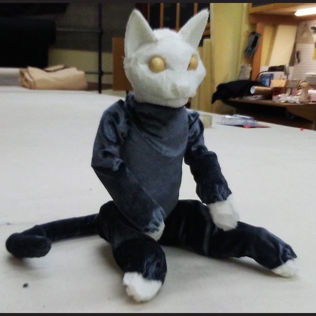 playful puppet cat rolling on it's back