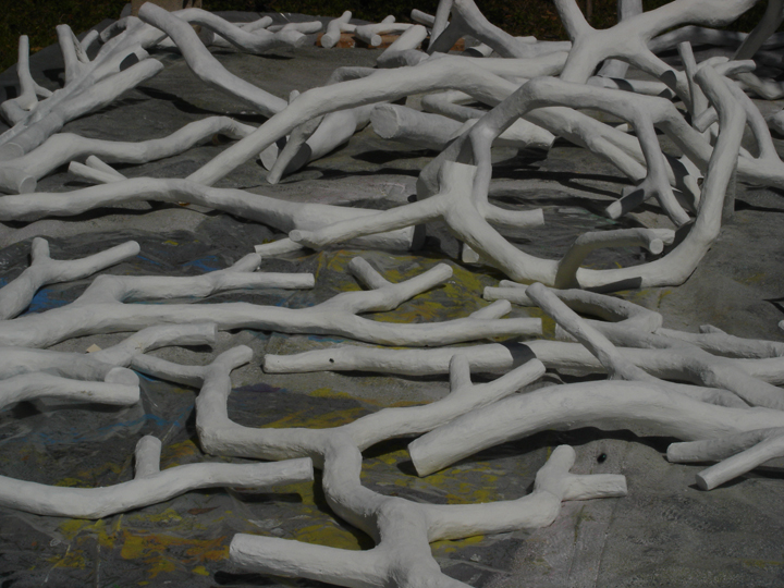 branches on plastic sheet