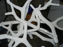 white branches